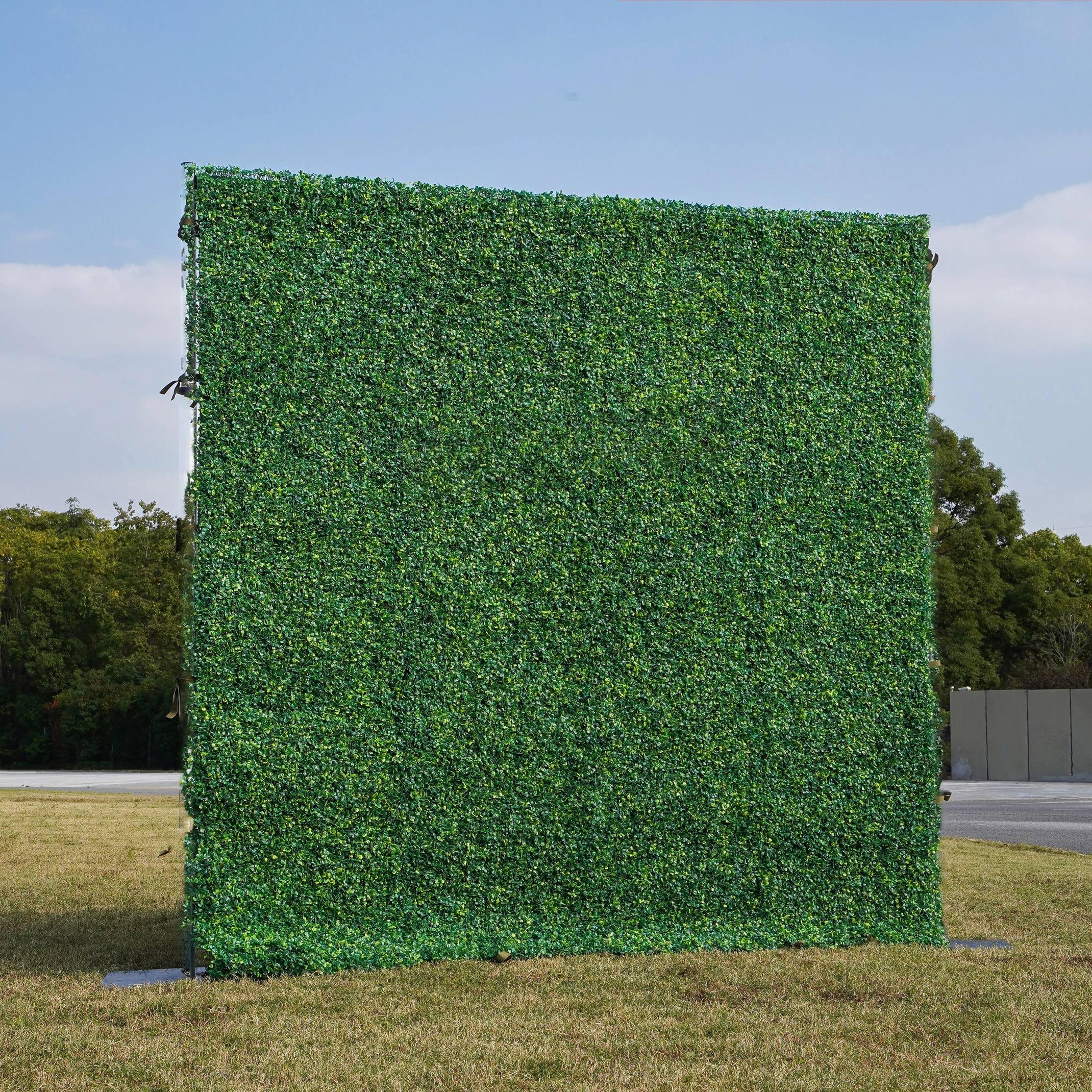 Boxwood Backdrop Rental Tampa