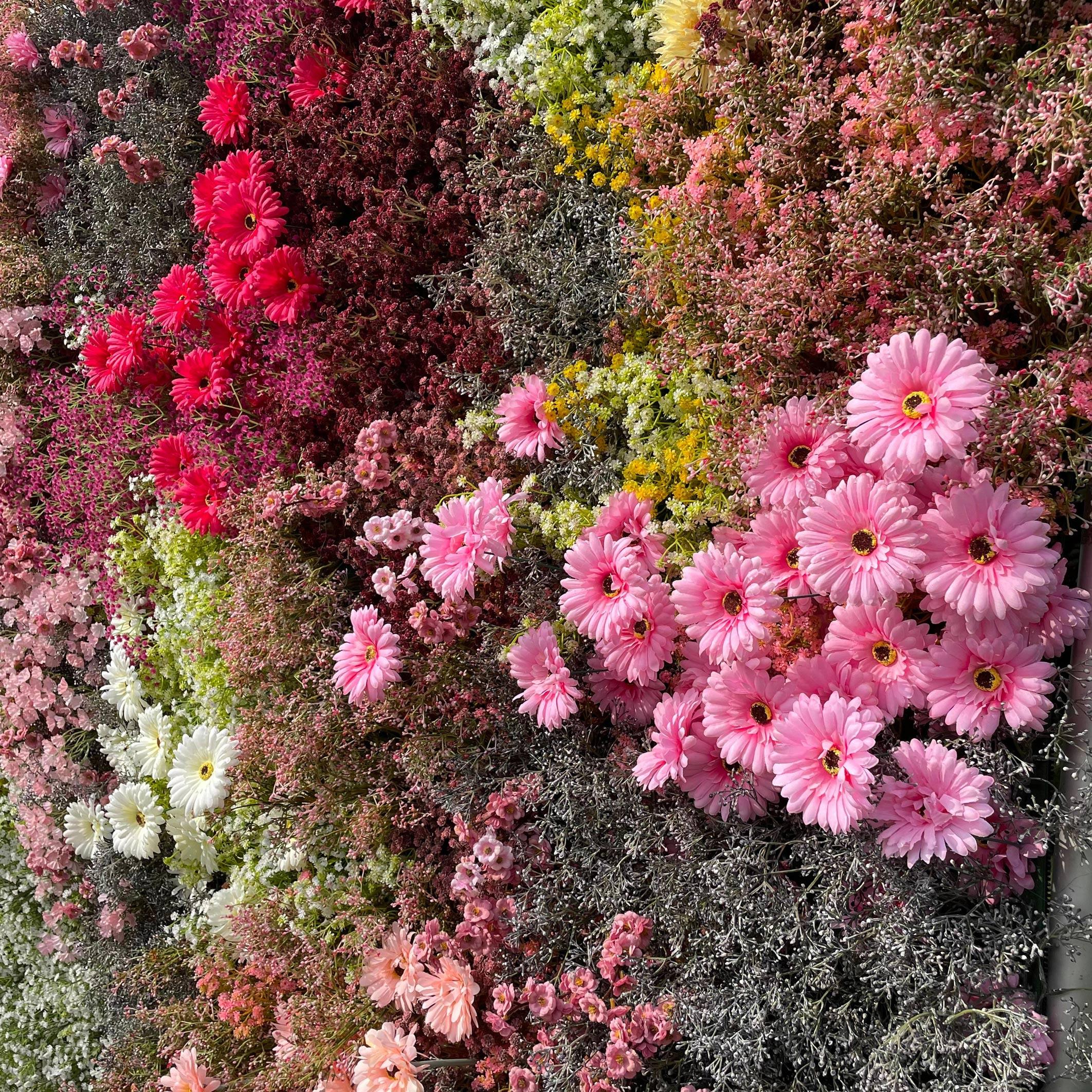 Wildflower Flower Wall Rental Tampa