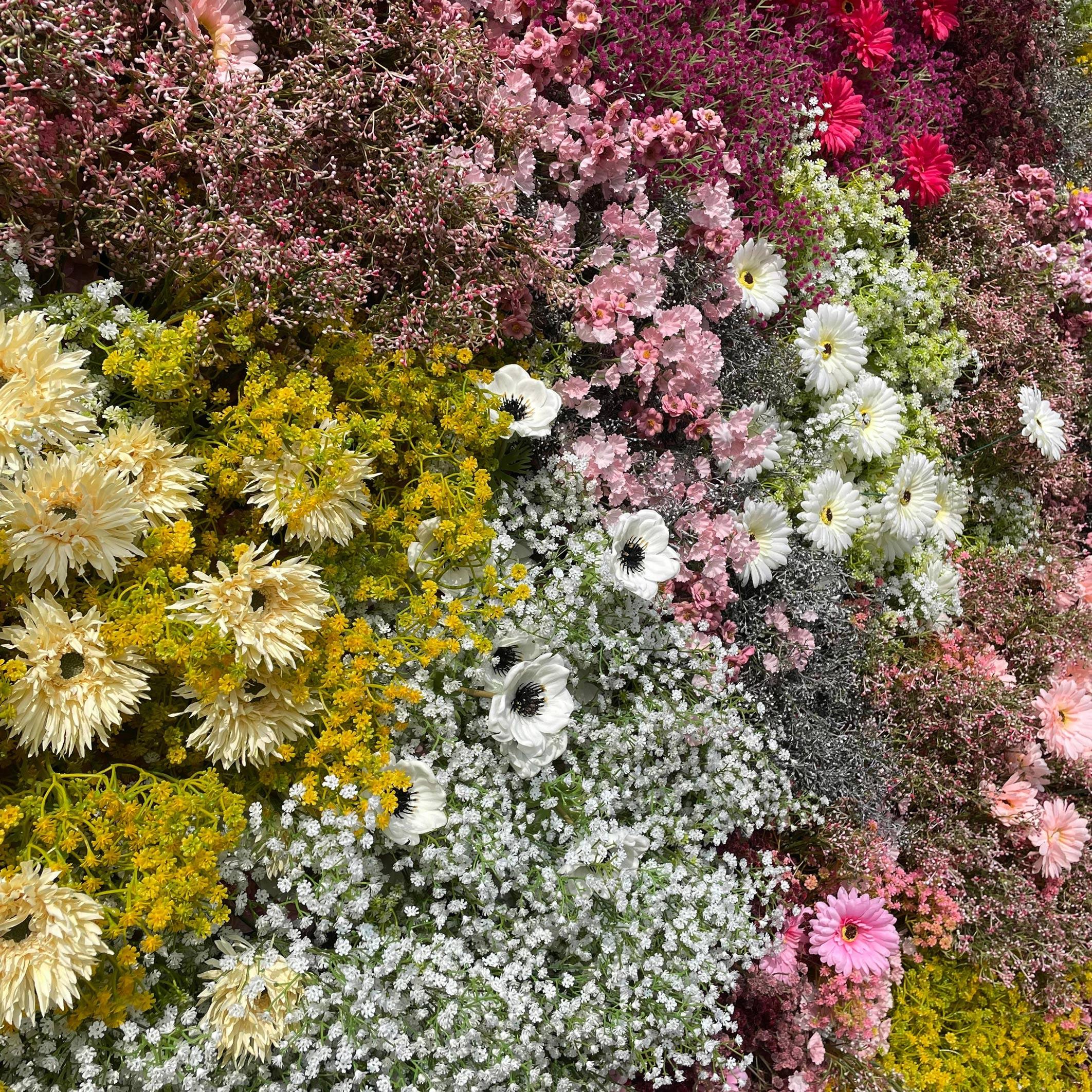 Wildflower Flower Wall Tampa